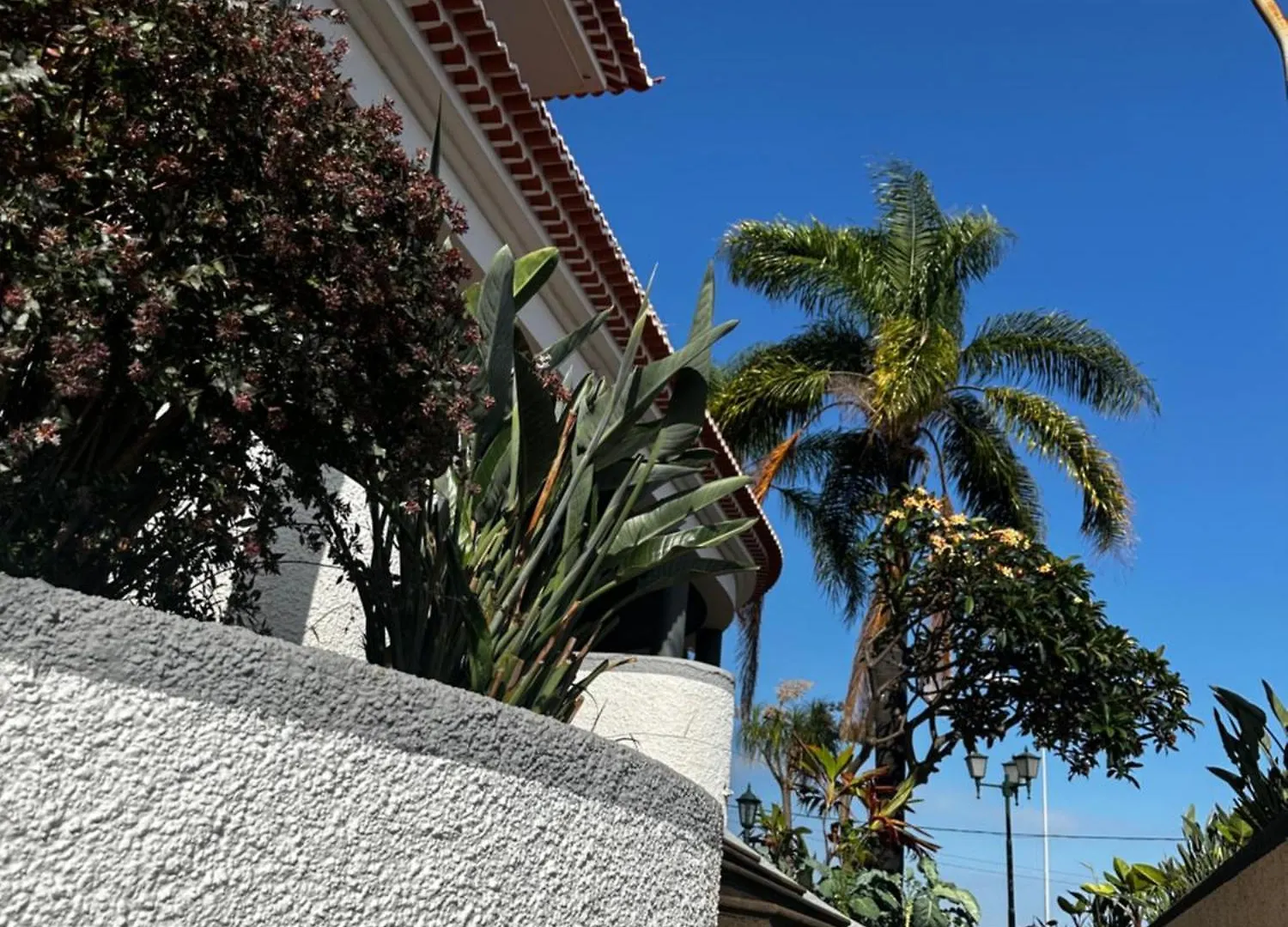 A Fortaleza Do Pico Sao Martinho  Portugália
